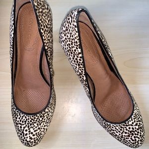 Leopard Heels 7.5